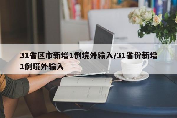 31省区市新增1例境外输入/31省份新增1例境外输入